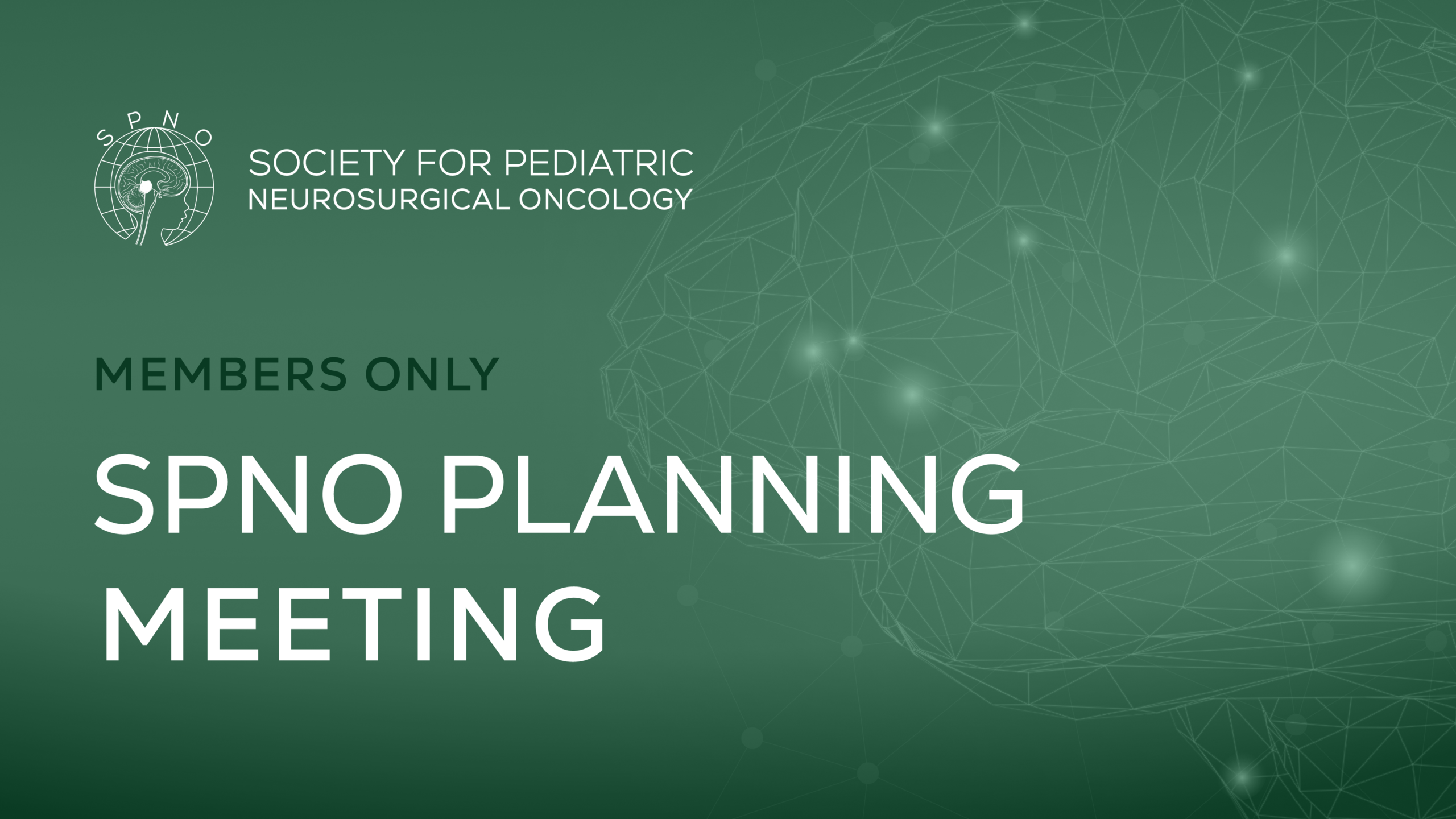 Planning meeting Green scaled - Society for Pediatric Neurosurgical Oncology
